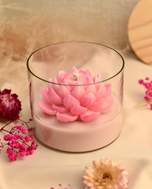 Antral Candle by Vune
